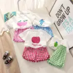 2025 Summer Korean Style Toddlers Kids Cartoon Clothing Sets Fruits Printed T-shirts Plaid Shorts 2pcs Unisex Children Suits